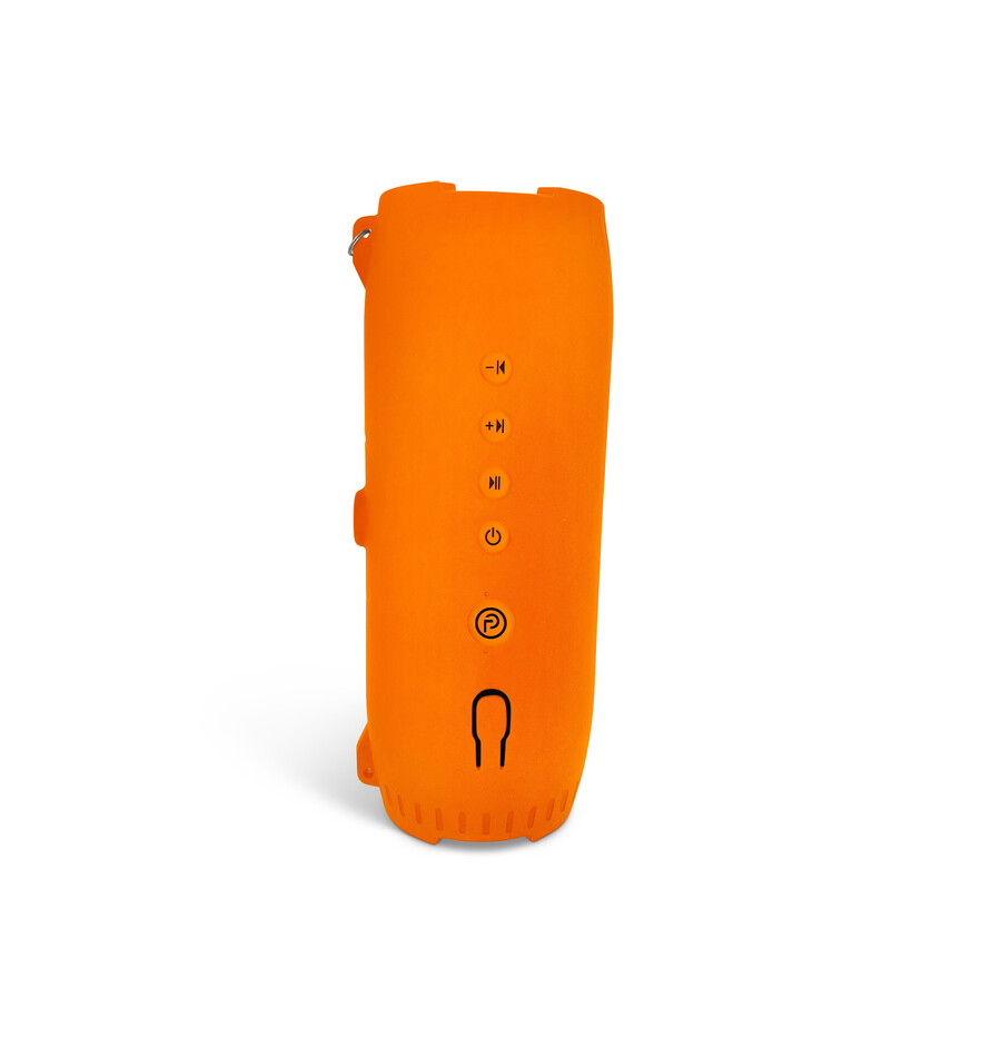 altoparlante bluetooth galleggiante portatile impermeabile drytunes